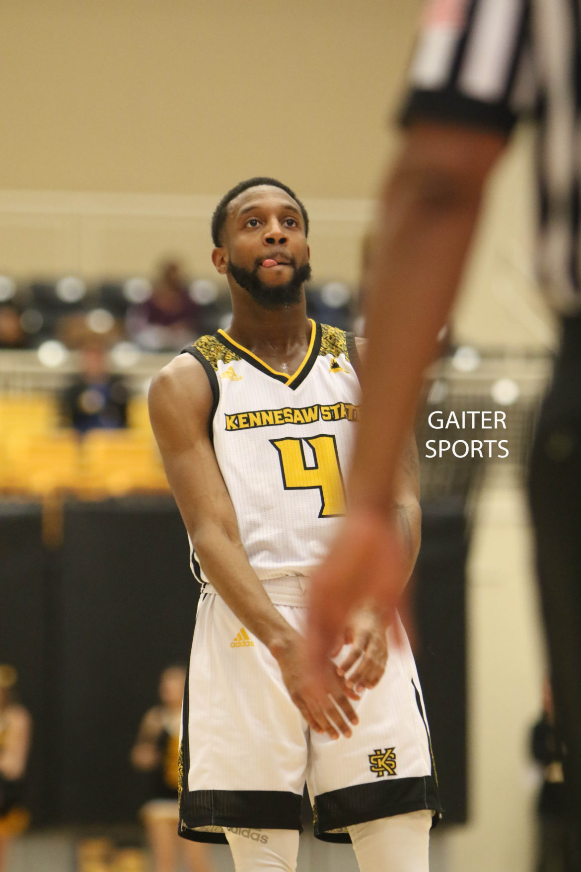 Kennesaw State Basketball Picture Review